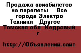 Продажа авиабилетов на перелеты  - Все города Электро-Техника » Другое   . Томская обл.,Кедровый г.